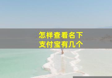 怎样查看名下支付宝有几个