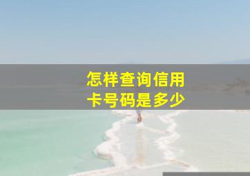 怎样查询信用卡号码是多少