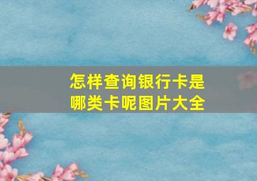 怎样查询银行卡是哪类卡呢图片大全