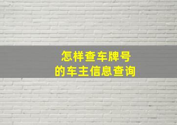 怎样查车牌号的车主信息查询