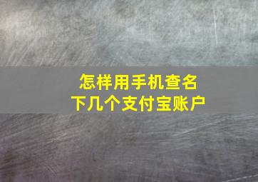 怎样用手机查名下几个支付宝账户