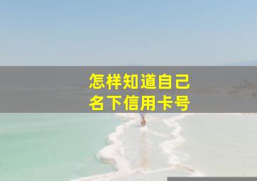 怎样知道自己名下信用卡号