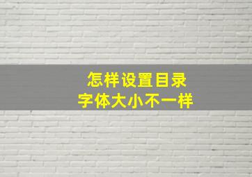 怎样设置目录字体大小不一样