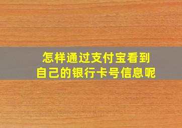 怎样通过支付宝看到自己的银行卡号信息呢