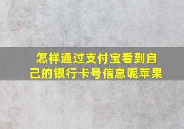 怎样通过支付宝看到自己的银行卡号信息呢苹果