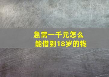 急需一千元怎么能借到18岁的钱