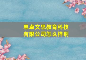 恩卓文思教育科技有限公司怎么样啊