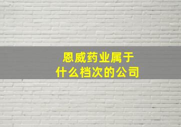 恩威药业属于什么档次的公司