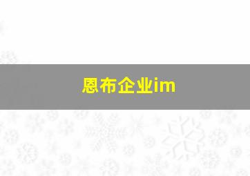 恩布企业im