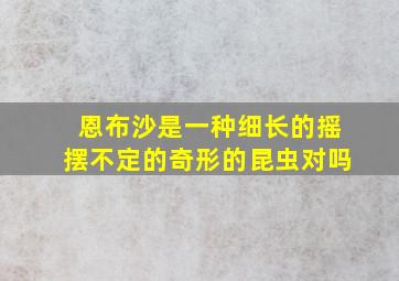 恩布沙是一种细长的摇摆不定的奇形的昆虫对吗