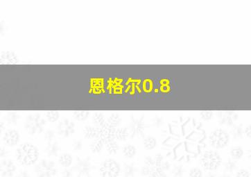 恩格尔0.8