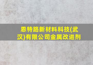 恩特路新材料科技(武汉)有限公司金属改进剂