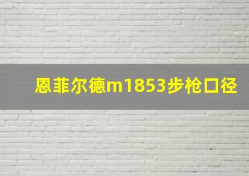 恩菲尔德m1853步枪口径