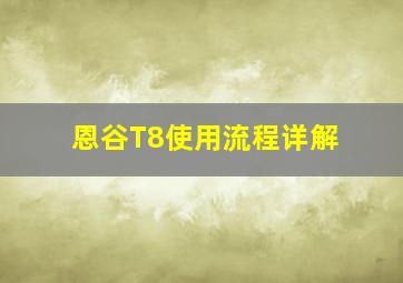 恩谷T8使用流程详解