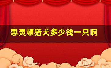 惠灵顿猎犬多少钱一只啊