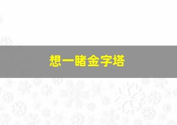 想一睹金字塔