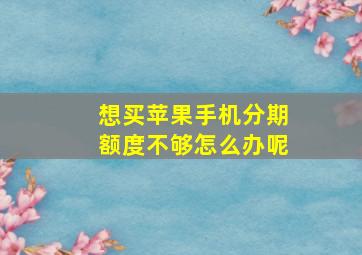 想买苹果手机分期额度不够怎么办呢