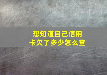 想知道自己信用卡欠了多少怎么查