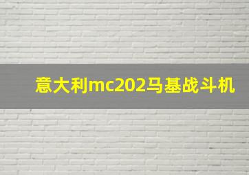 意大利mc202马基战斗机