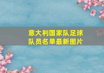 意大利国家队足球队员名单最新图片