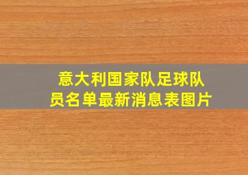 意大利国家队足球队员名单最新消息表图片