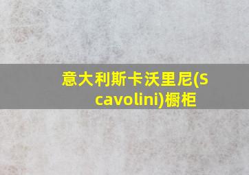 意大利斯卡沃里尼(Scavolini)橱柜