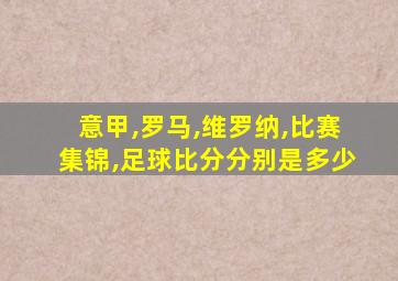 意甲,罗马,维罗纳,比赛集锦,足球比分分别是多少