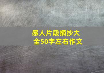 感人片段摘抄大全50字左右作文