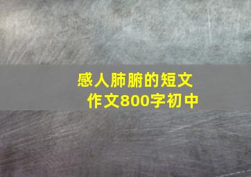 感人肺腑的短文作文800字初中