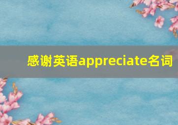 感谢英语appreciate名词