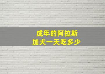 成年的阿拉斯加犬一天吃多少