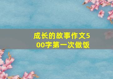 成长的故事作文500字第一次做饭