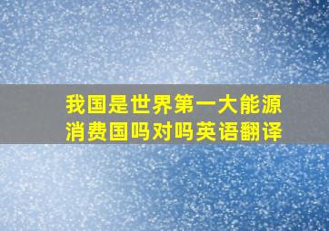 我国是世界第一大能源消费国吗对吗英语翻译