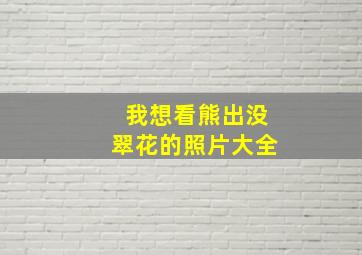 我想看熊出没翠花的照片大全