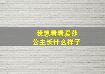 我想看看爱莎公主长什么样子