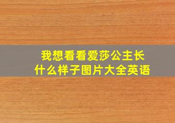 我想看看爱莎公主长什么样子图片大全英语