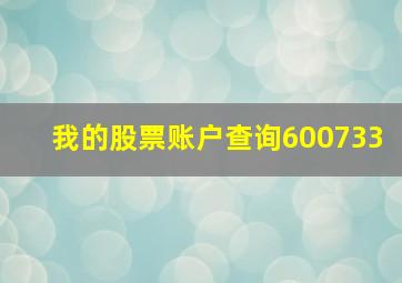 我的股票账户查询600733