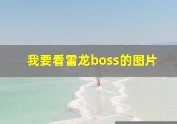 我要看雷龙boss的图片