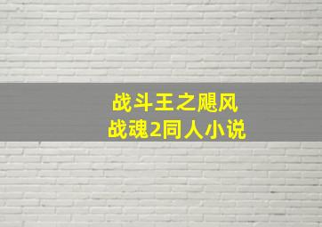 战斗王之飓风战魂2同人小说