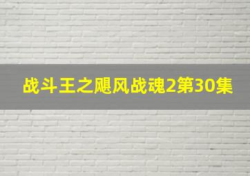 战斗王之飓风战魂2第30集