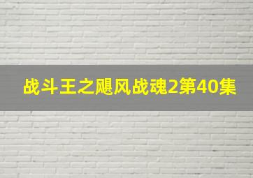 战斗王之飓风战魂2第40集