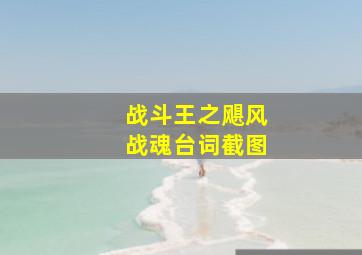 战斗王之飓风战魂台词截图