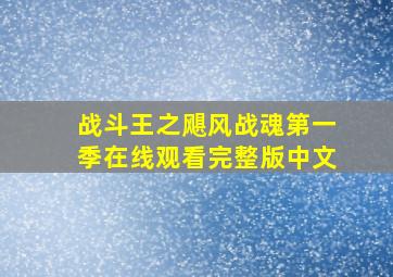 战斗王之飓风战魂第一季在线观看完整版中文