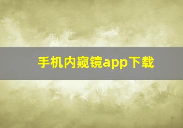 手机内窥镜app下载