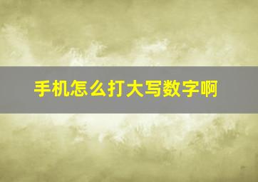 手机怎么打大写数字啊