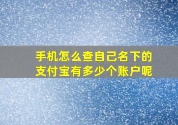 手机怎么查自己名下的支付宝有多少个账户呢