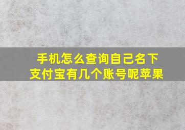 手机怎么查询自己名下支付宝有几个账号呢苹果