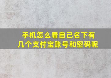 手机怎么看自己名下有几个支付宝账号和密码呢