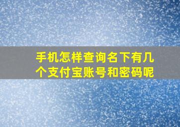 手机怎样查询名下有几个支付宝账号和密码呢