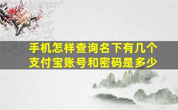 手机怎样查询名下有几个支付宝账号和密码是多少